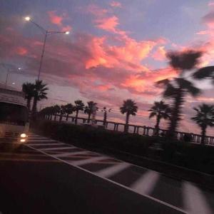 女生全裸不打码性交
